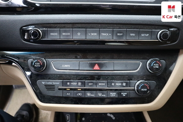 2019 - kia carnival