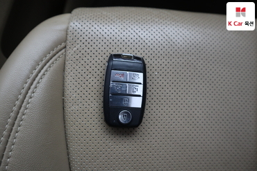 2019 - kia carnival