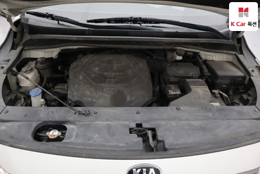 2019 - kia carnival