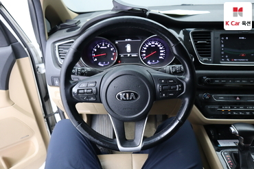 2019 - kia carnival