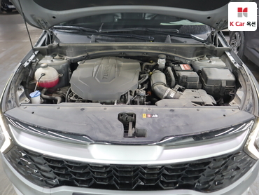 2023 - kia sportage