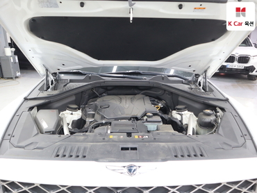 2020 - genesis gv80