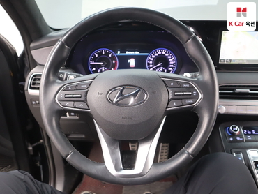 2019 - hyundai palisade