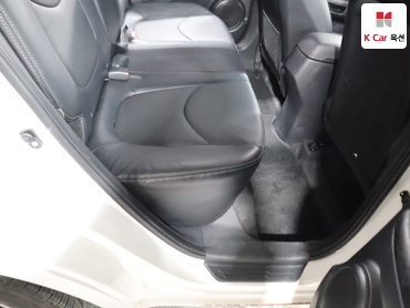 2010 - kia soul
