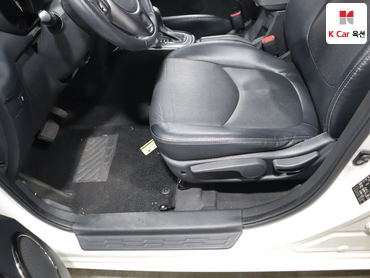 2010 - kia soul