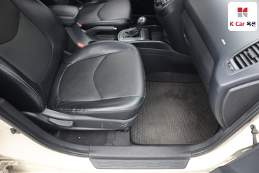 2010 - kia soul