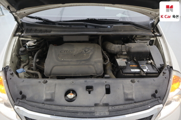 2013 - kia carnival