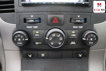 2013 - kia carnival