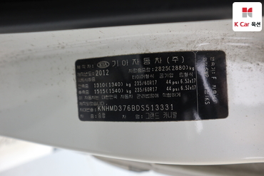 2013 - kia carnival