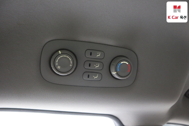 2013 - kia carnival