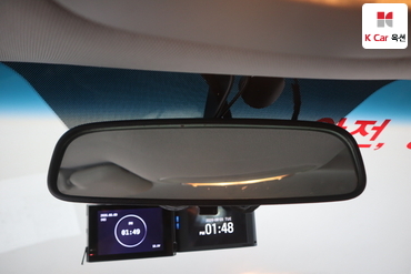 2013 - kia carnival