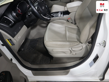 2017 - kia carnival