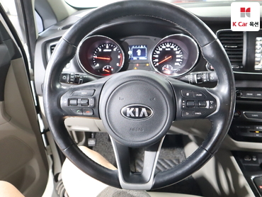 2017 - kia carnival