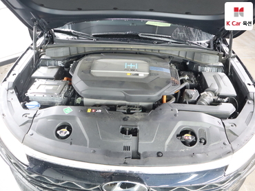 2024 - hyundai nexo