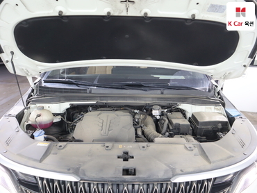 2023 - kia carnival