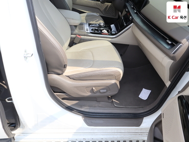 2021 - kia carnival