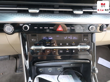 2021 - kia carnival