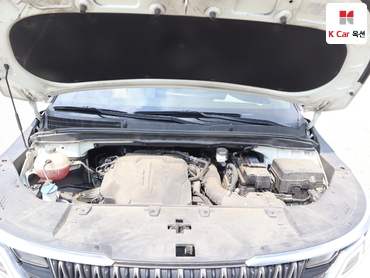 2021 - kia carnival