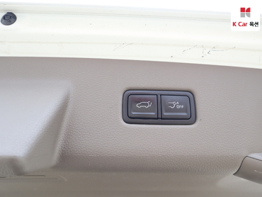 2021 - kia carnival