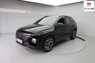 2021 - hyundai tucson