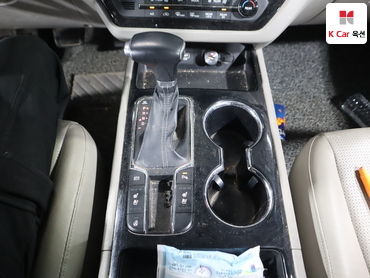 2019 - kia carnival