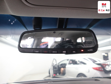 2019 - kia carnival
