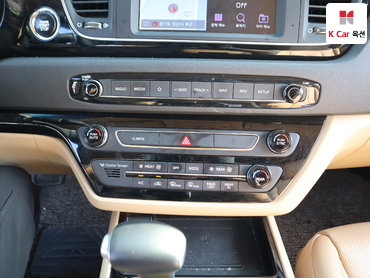 2020 - kia carnival
