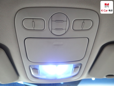 2011 - kia carnival