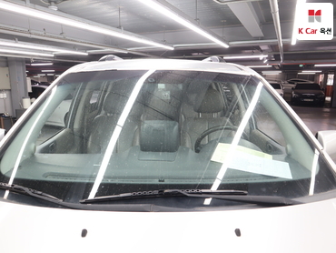 2011 - kia carnival