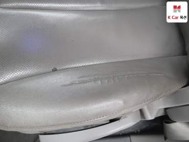 2011 - kia carnival