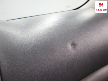 2011 - kia carnival