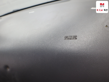 2011 - kia carnival