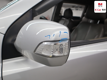 2011 - kia carnival