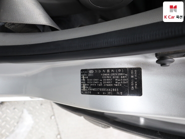 2011 - kia carnival