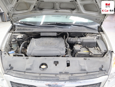 2011 - kia carnival