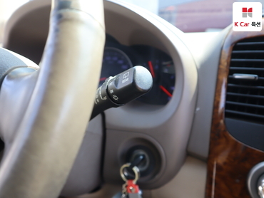 2013 - kia carnival