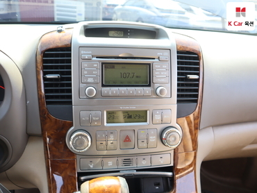 2013 - kia carnival
