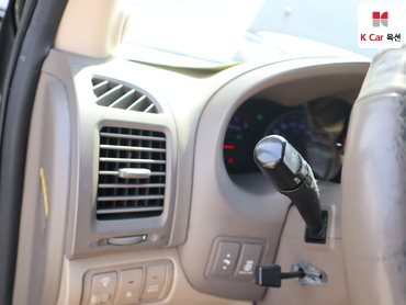 2013 - kia carnival