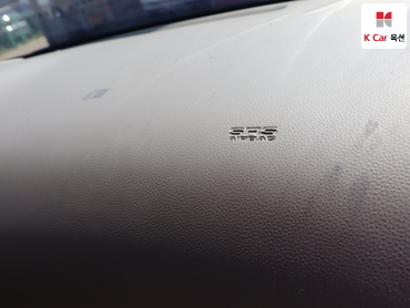 2013 - kia carnival