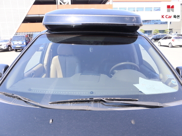 2013 - kia carnival