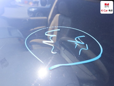 2013 - kia carnival