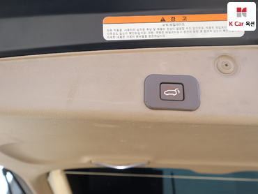 2013 - kia carnival