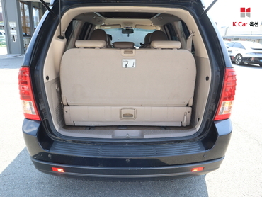 2013 - kia carnival