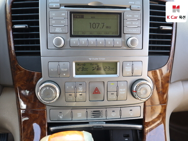 2013 - kia carnival