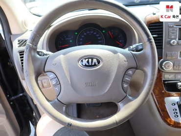 2013 - kia carnival