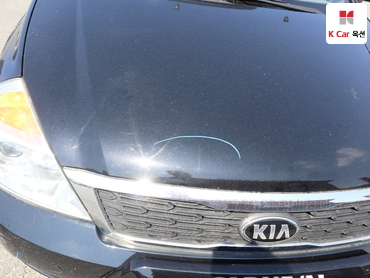 2013 - kia carnival