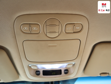 2013 - kia carnival