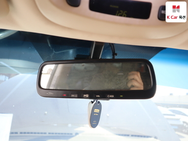 2013 - kia carnival