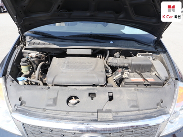 2013 - kia carnival
