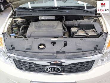 2011 - kia carnival